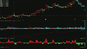 竞价外包托管客服发货篇 货到付款如何用顺丰软件下单与竞价冷门产品的软件外包服务解析