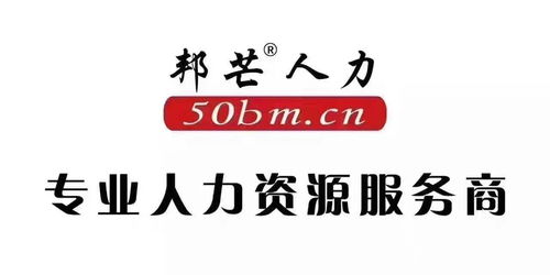 专业人力资源服务 从劳务外包到软件外包的全方位解决方案
